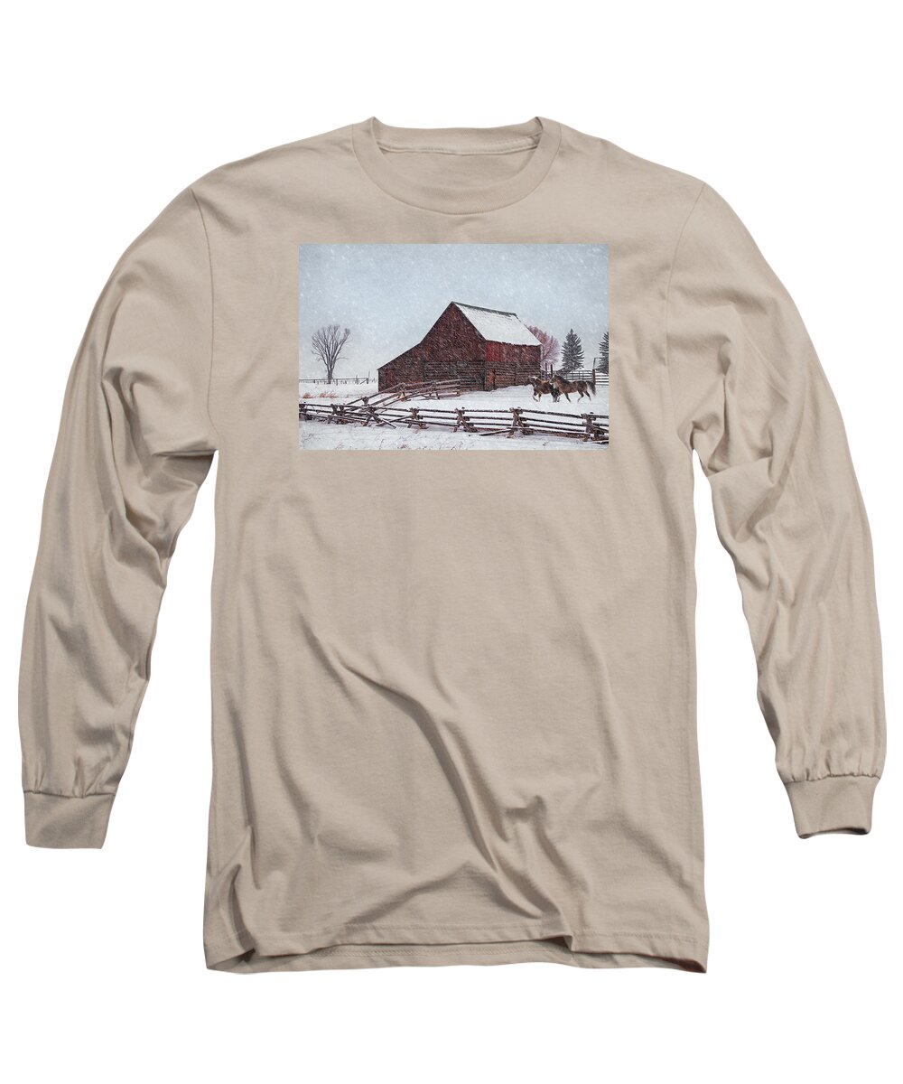 Out In The Snow Long Sleeve T-Shirt featuring the photograph Out in the Snow by Priscilla Burgers