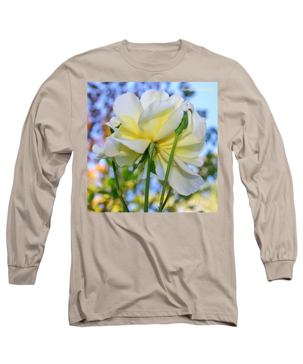 Flowers Long Sleeve T-Shirt featuring the photograph Pale Yellow Rose and Blue Sky by Anna Porter