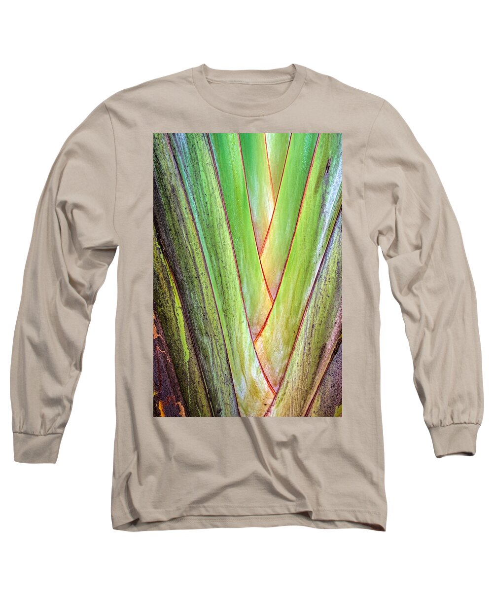 Palm Long Sleeve T-Shirt featuring the photograph Palm 5672 by Rudy Umans