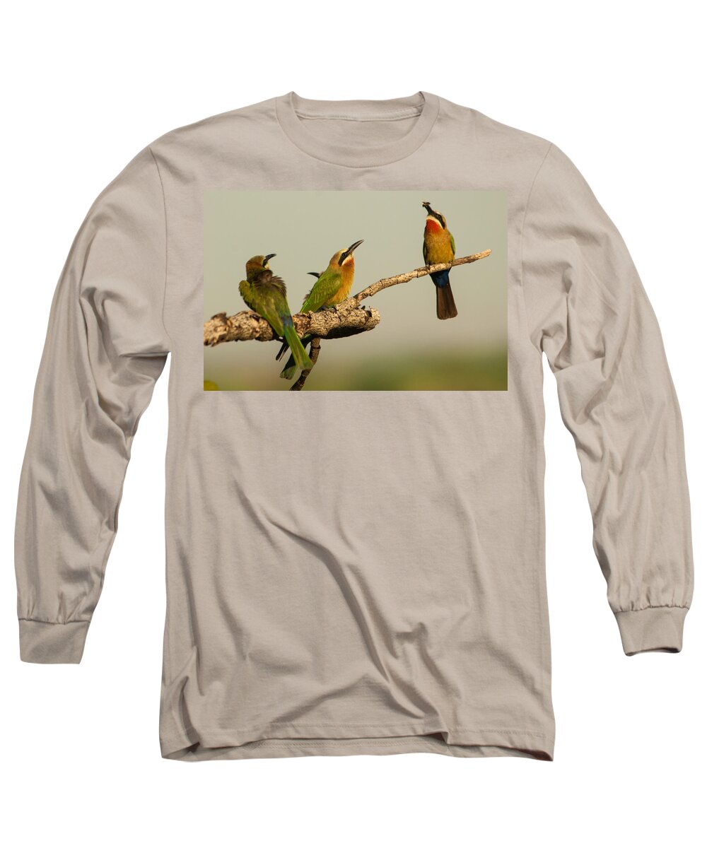 Africa Long Sleeve T-Shirt featuring the photograph Pass the bee by Alistair Lyne
