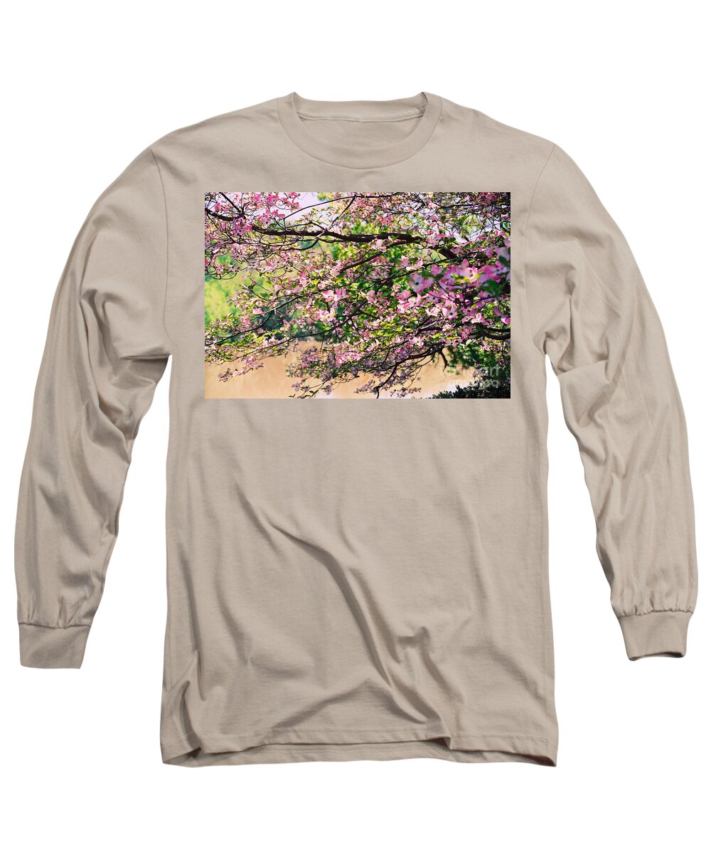 Pink Dogwood Tree Long Sleeve T-Shirt featuring the photograph Pink Dogwood I by Anita Lewis