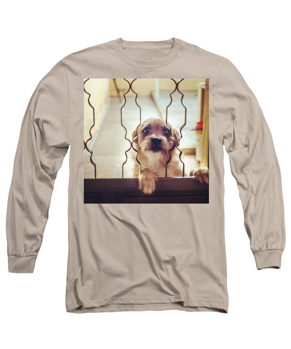Brazil Long Sleeve T-Shirt featuring the photograph Please Let Me In! by Aleck Cartwright