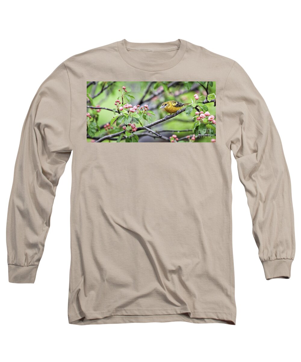 Oriole Long Sleeve T-Shirt featuring the photograph Pretty in Pink 2 by Jan Killian