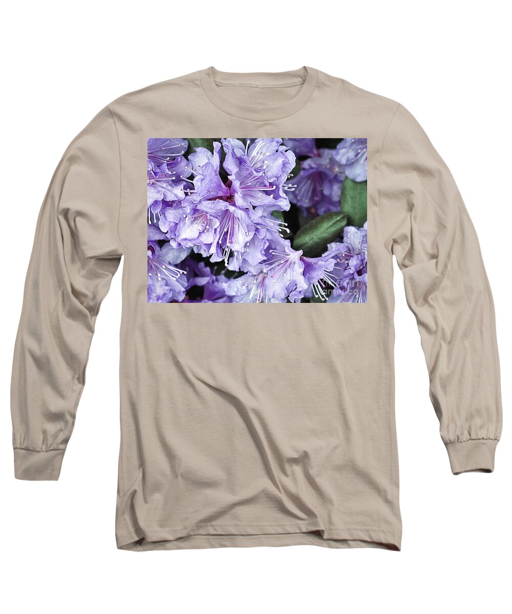 Purple Rhododendron Long Sleeve T-Shirt featuring the photograph Purple Rhododendron by Gwen Gibson
