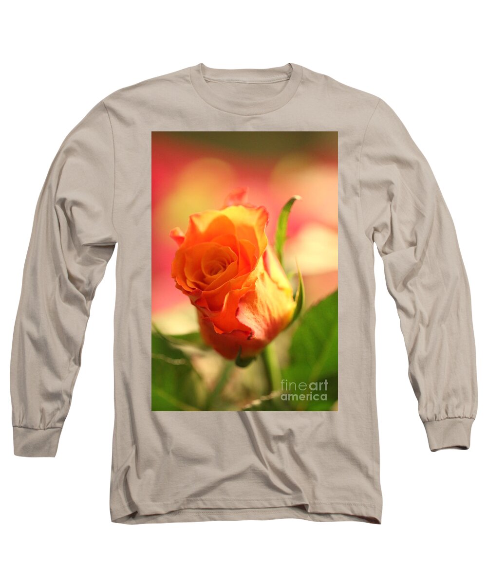 Background Long Sleeve T-Shirt featuring the photograph Rose on pink background II by Amanda Mohler