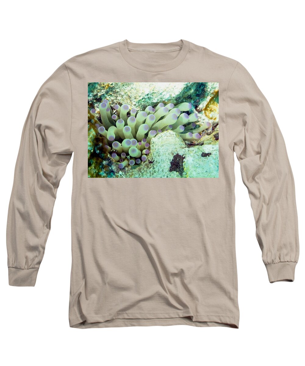 Nature Long Sleeve T-Shirt featuring the photograph Sea Anemone with Squat Anemone Shrimp Family by Amy McDaniel