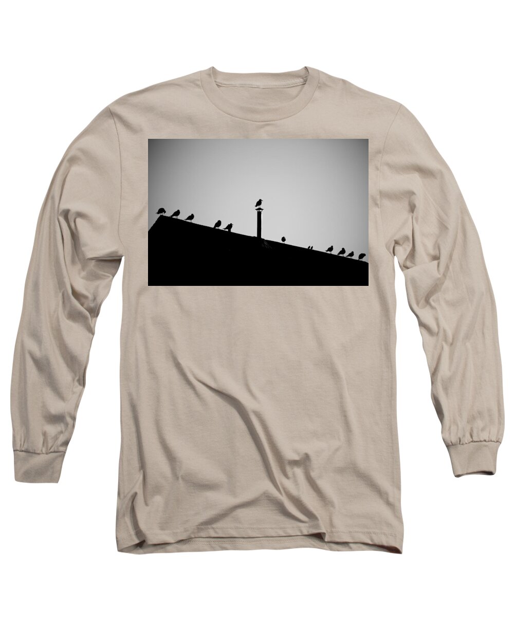 Birds Long Sleeve T-Shirt featuring the photograph Sea Gulls in Silhouette by Allan Morrison
