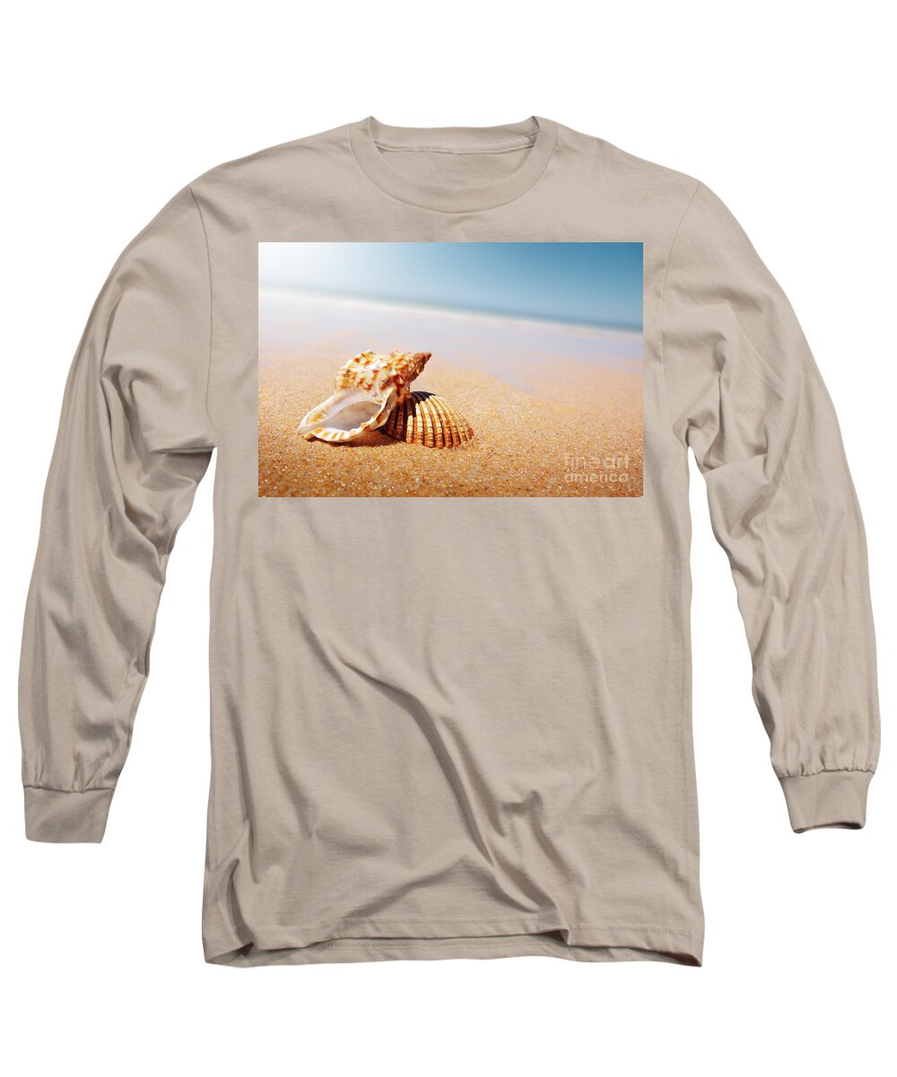 Abstract Long Sleeve T-Shirt featuring the photograph Seashell and Conch by Carlos Caetano