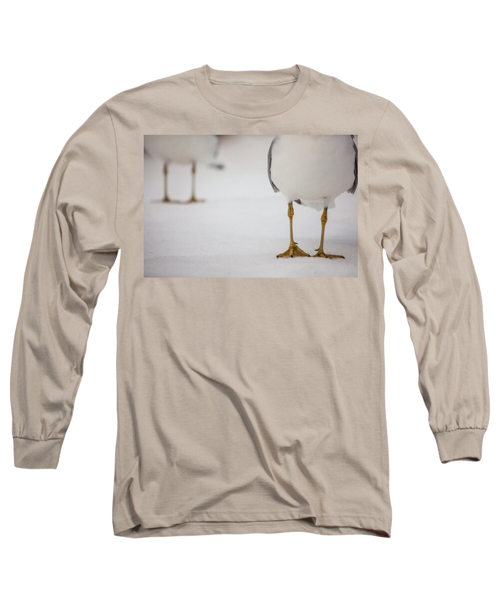 Shes Got Legs Long Sleeve T-Shirt featuring the photograph Shes Got Legs by Karol Livote