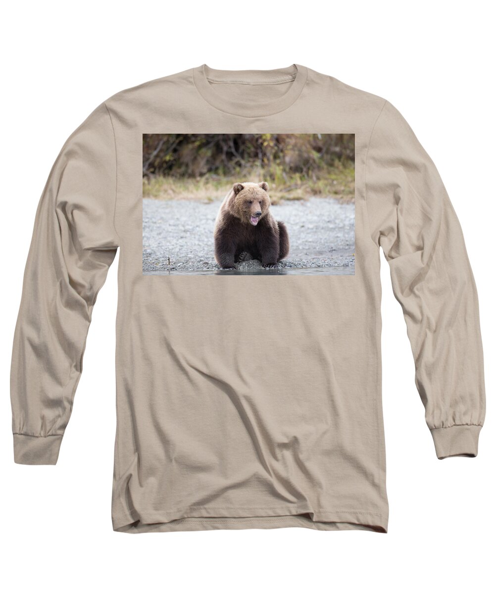 Bear Long Sleeve T-Shirt featuring the photograph Sleep Bear by Kevin Dietrich