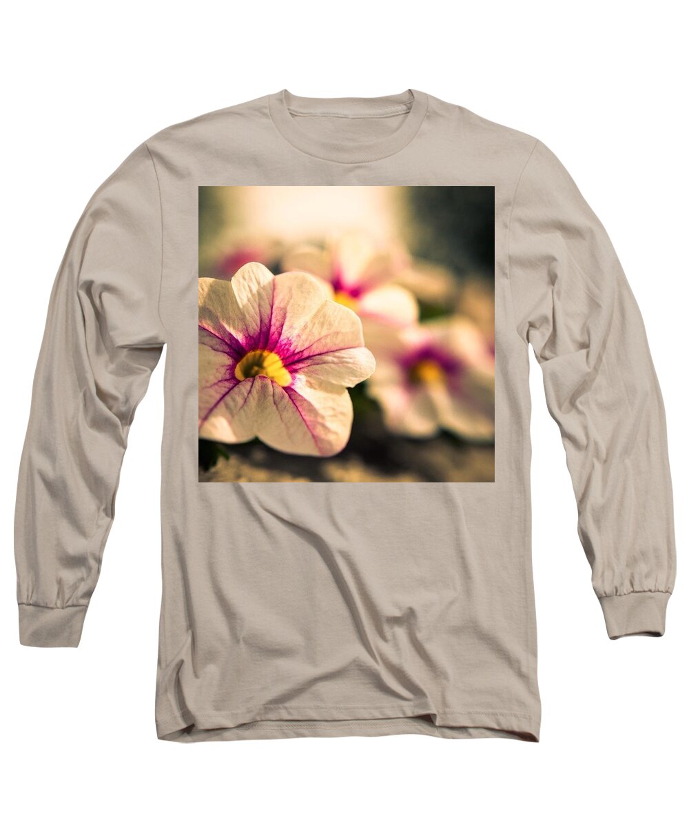 Beautiful Long Sleeve T-Shirt featuring the photograph Soft Light by Aleck Cartwright