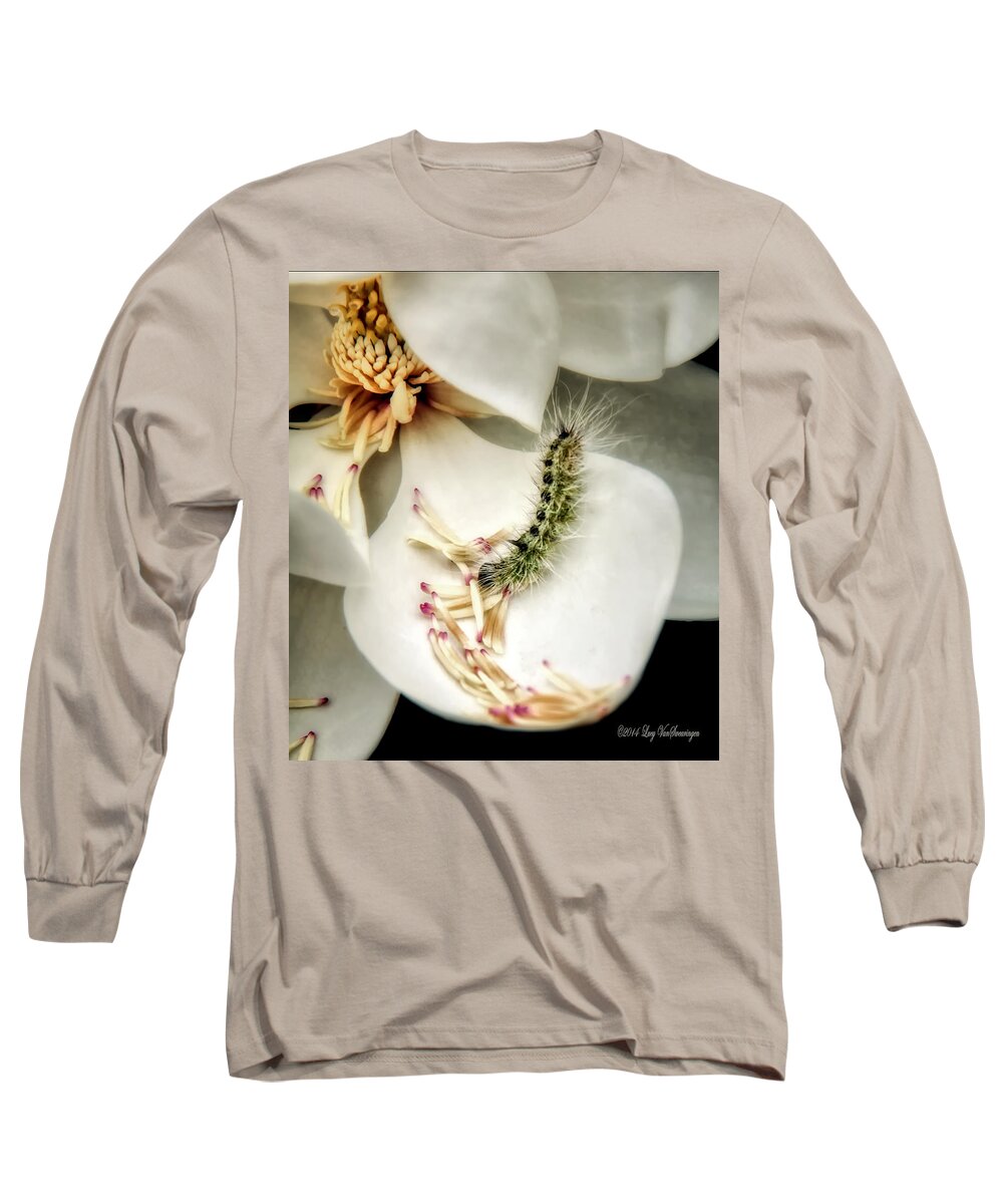 Magnolia Canvas Print Long Sleeve T-Shirt featuring the photograph Softest Little Gem by Lucy VanSwearingen