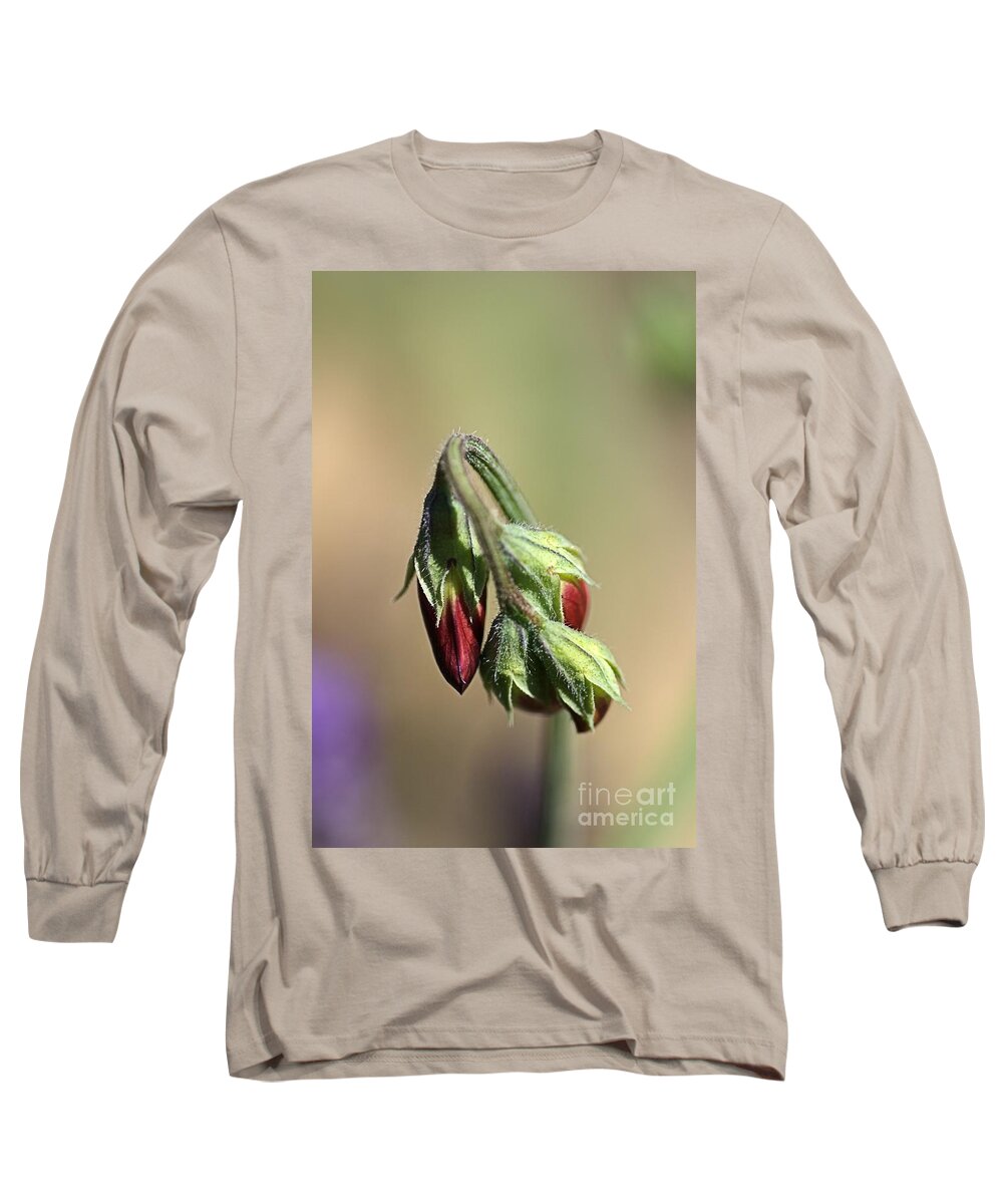 Split Pea Bud Long Sleeve T-Shirt featuring the photograph Split Pea by Joy Watson