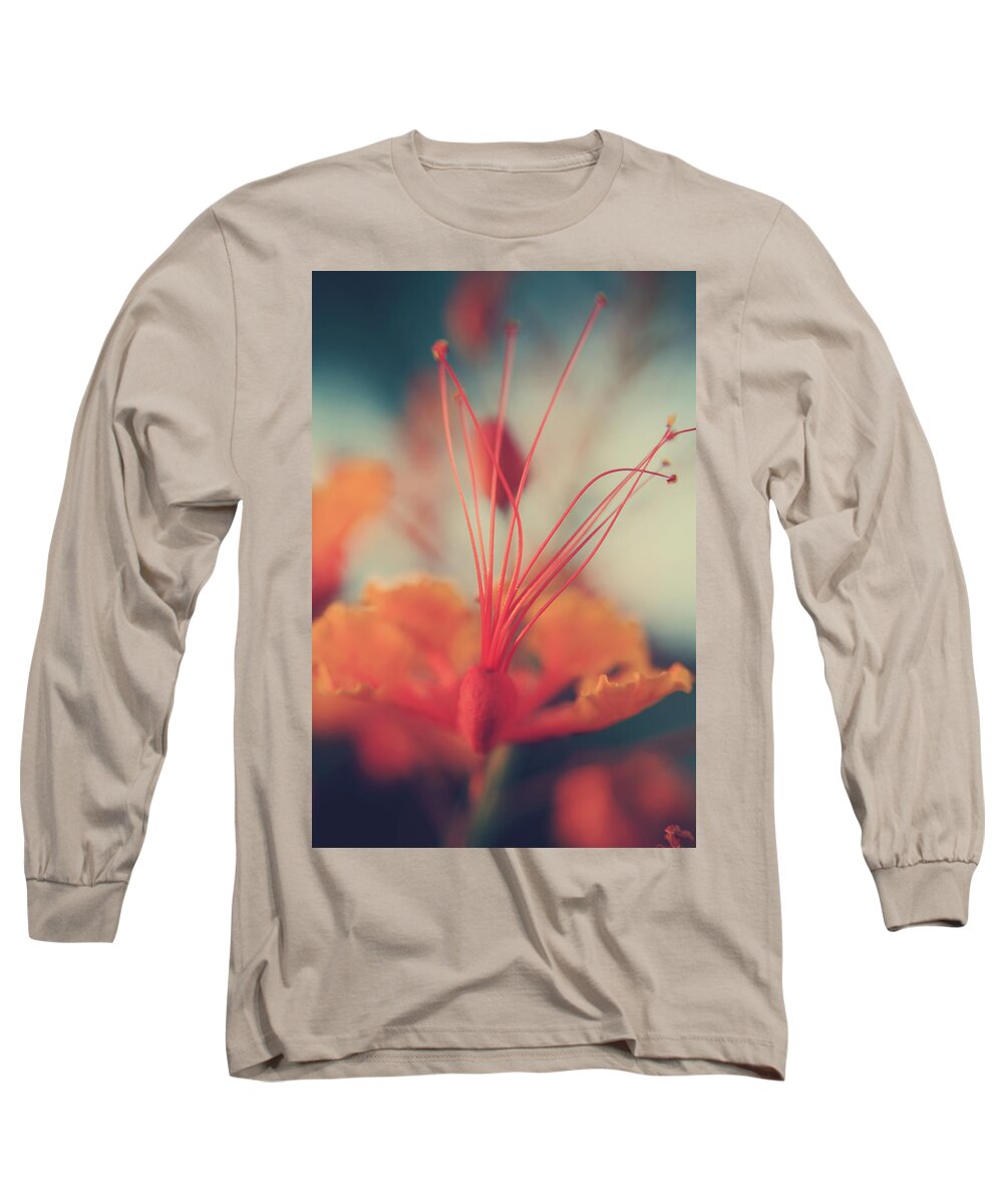 Flowers Long Sleeve T-Shirt featuring the photograph Spread the Love by Laurie Search