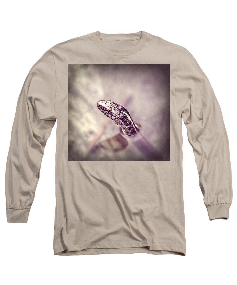 Snake Long Sleeve T-Shirt featuring the photograph Stony Stare by Melanie Lankford Photography