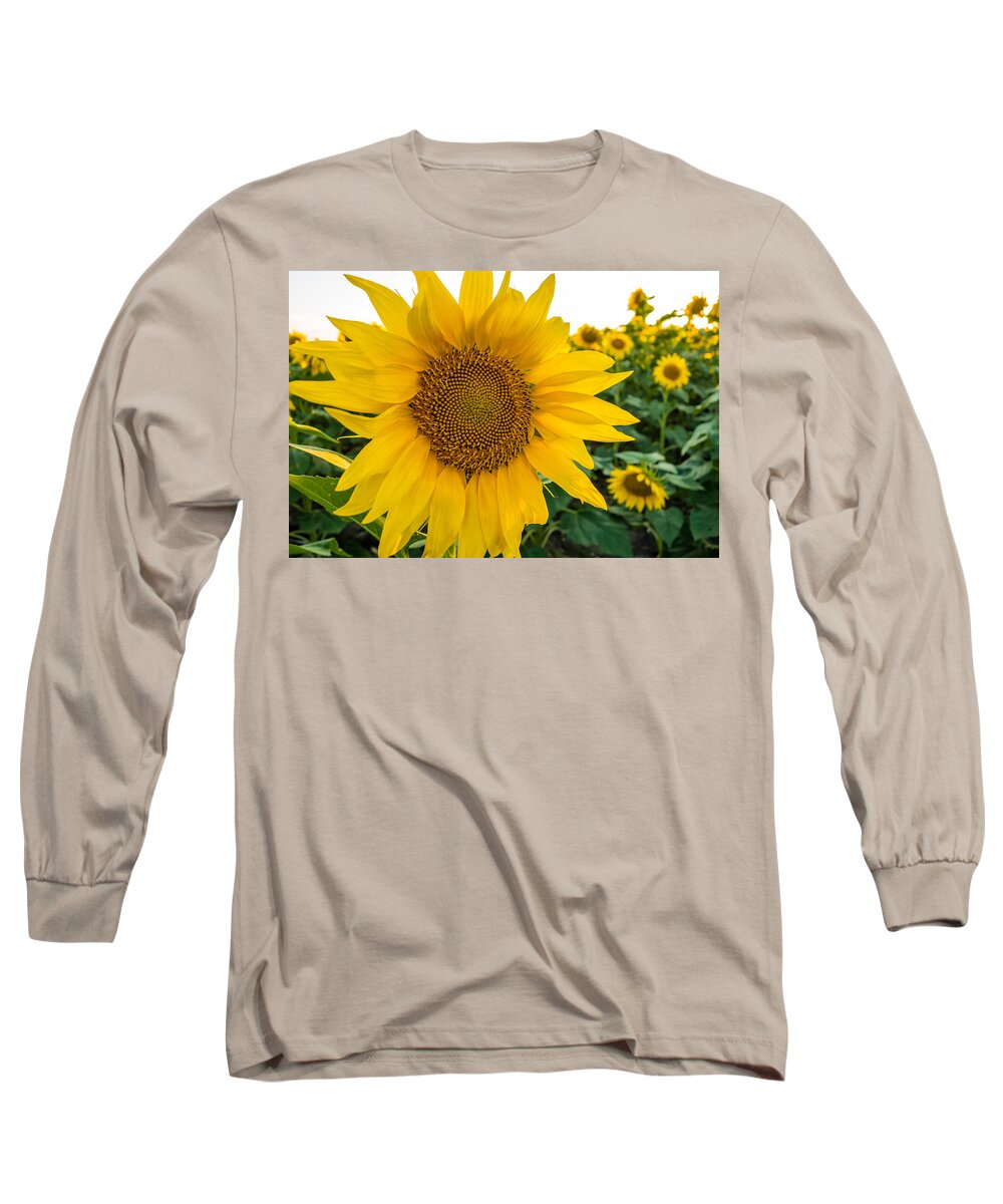 Blooming Long Sleeve T-Shirt featuring the photograph Fibonacci in Full Bloom by Melinda Ledsome
