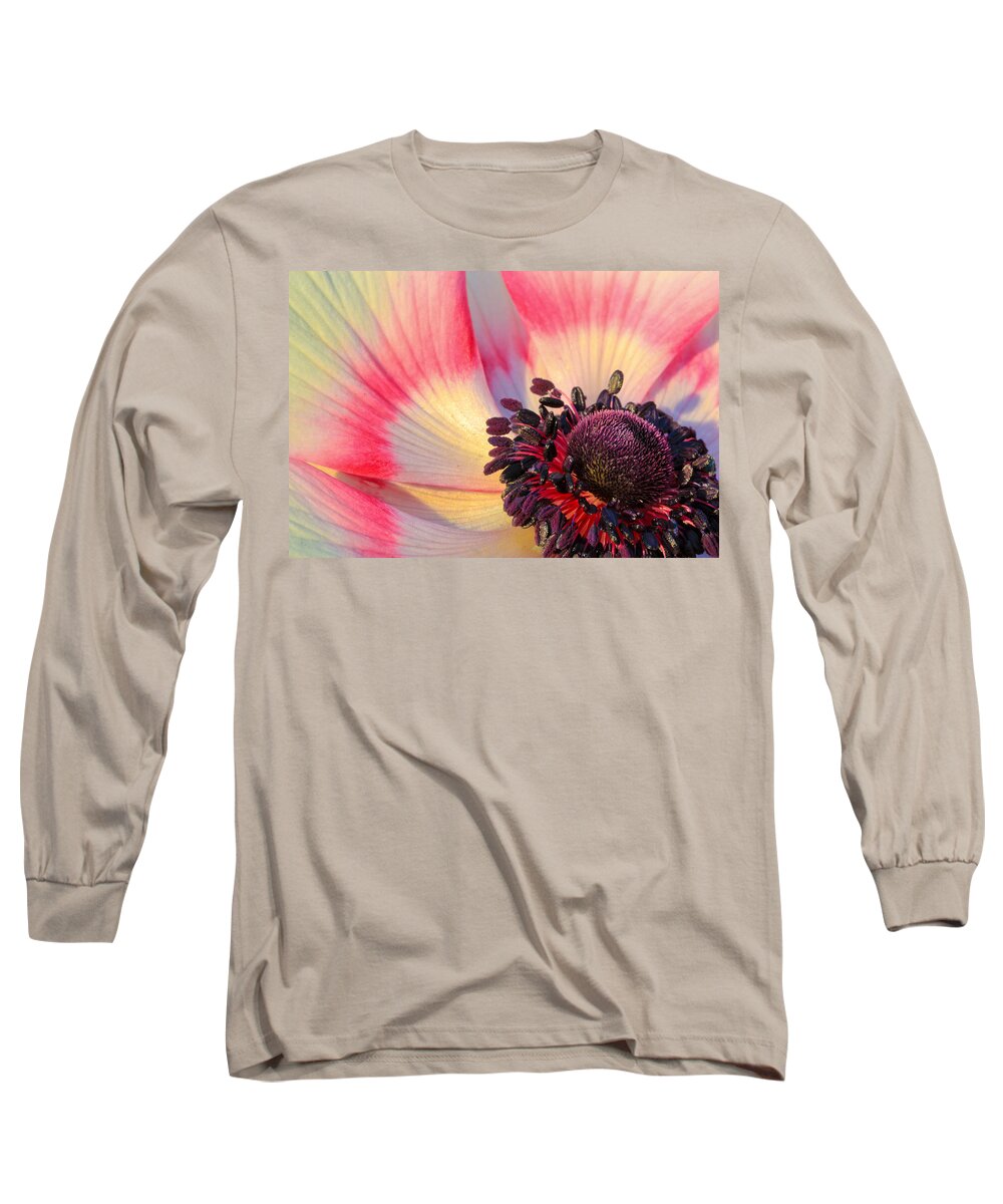 Abstract Long Sleeve T-Shirt featuring the photograph Sunlight Just Right by Heidi Smith