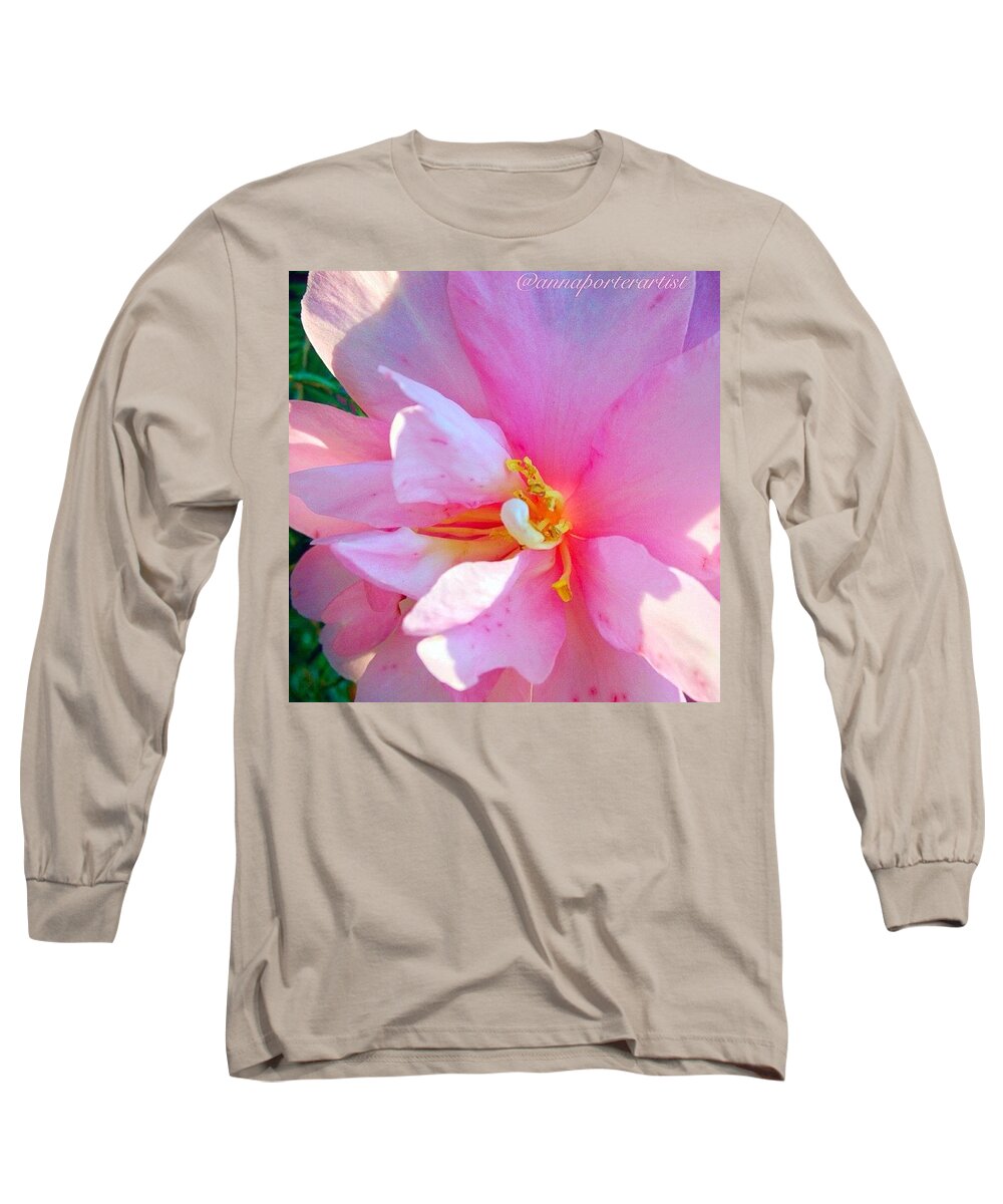 Sunny Camellia Long Sleeve T-Shirt featuring the photograph Sunny Camellia by Anna Porter