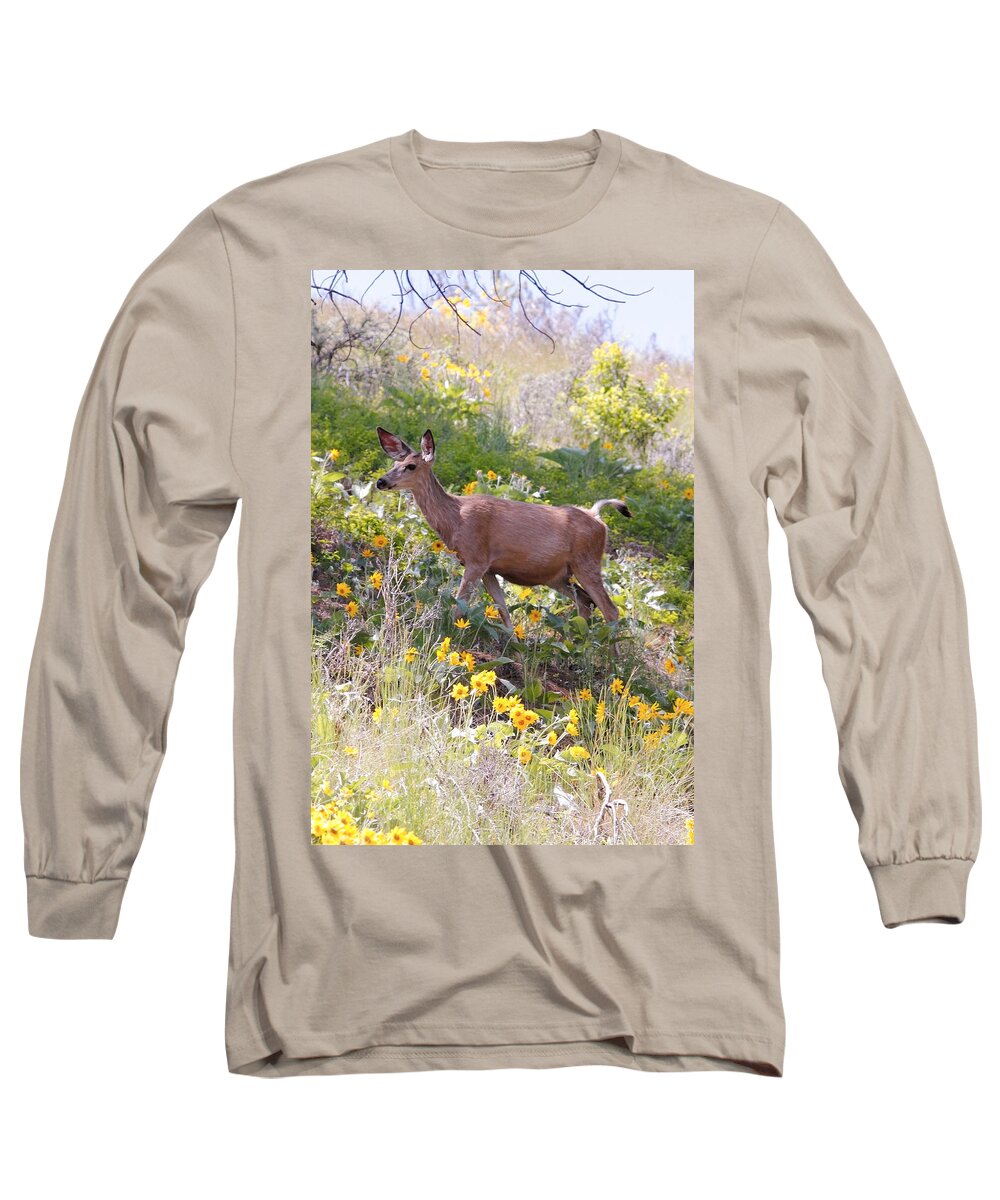 Deer Long Sleeve T-Shirt featuring the photograph Taking a Stroll in the Country by Athena Mckinzie