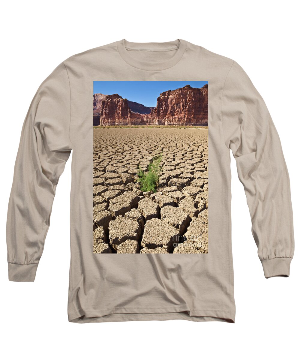 00559227 Long Sleeve T-Shirt featuring the photograph Tamarisk In Dry Colorado River by Yva Momatiuk John Eastcott