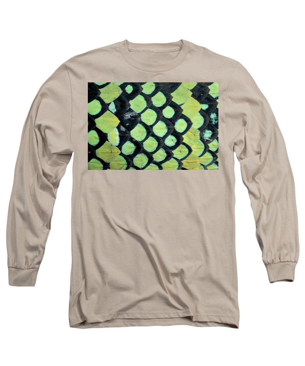 00511496 Long Sleeve T-Shirt featuring the photograph Temple Pit Viper Trimeresurus Wagleri by Michael and Patricia Fogden