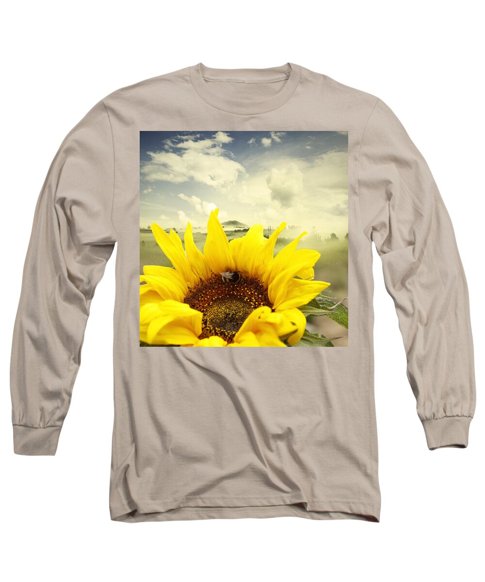 Beauty In Nature Long Sleeve T-Shirt featuring the photograph The bee by Les Cunliffe