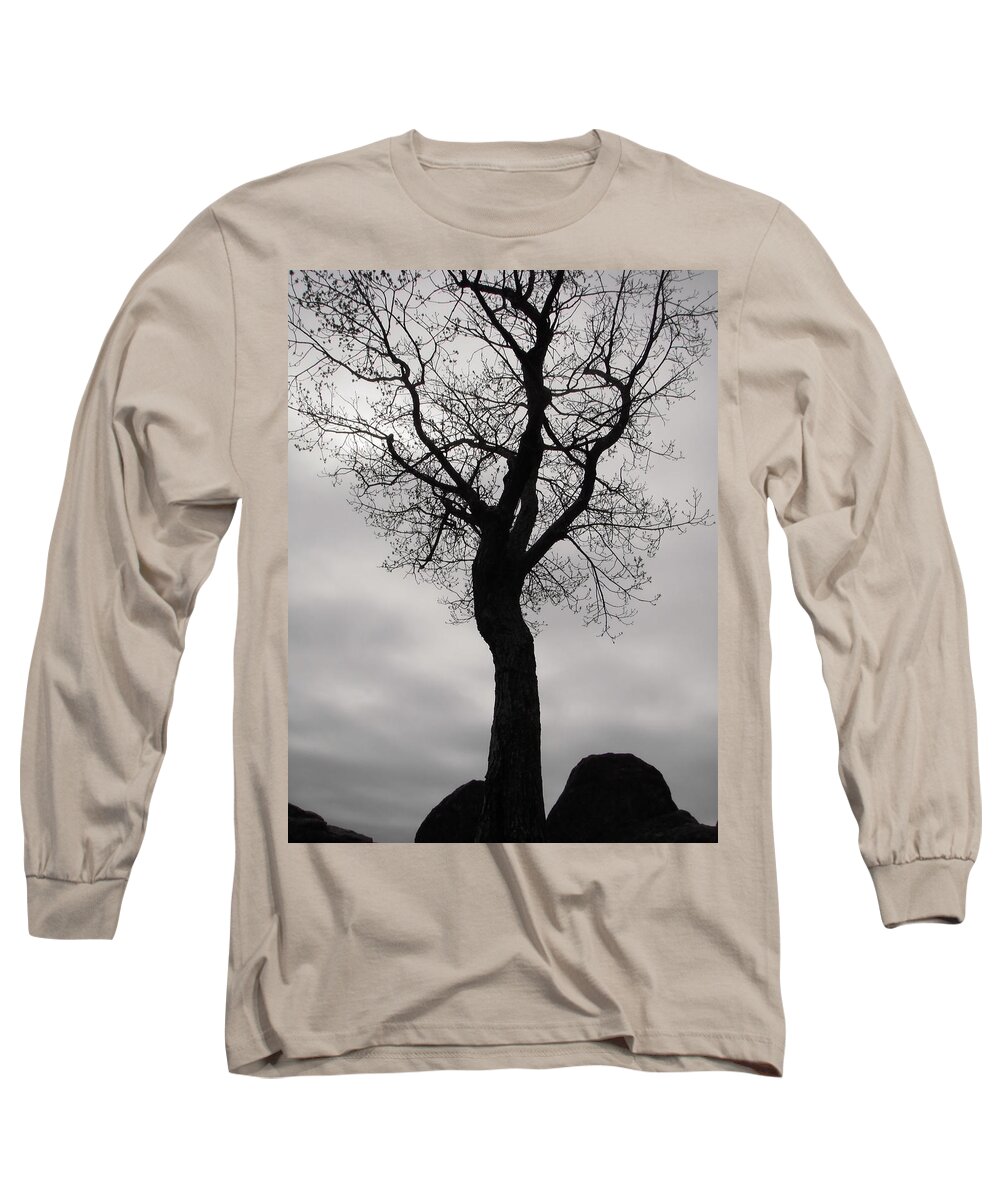 Tree Long Sleeve T-Shirt featuring the photograph The Chill of Spring in the Shenandoah by Nicole Angell