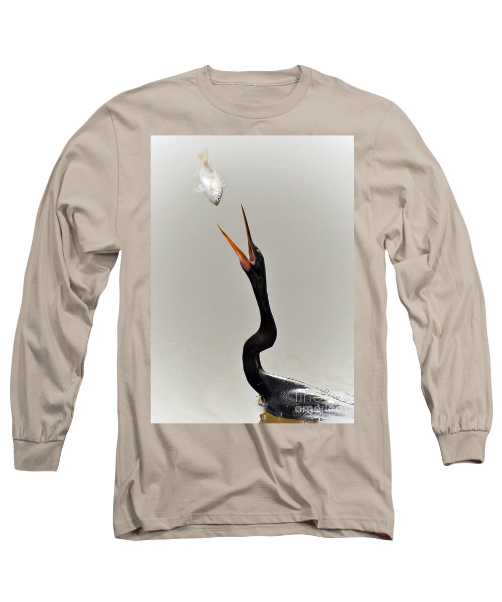 Anhinga Long Sleeve T-Shirt featuring the photograph The Master Fisher by Kathy Baccari