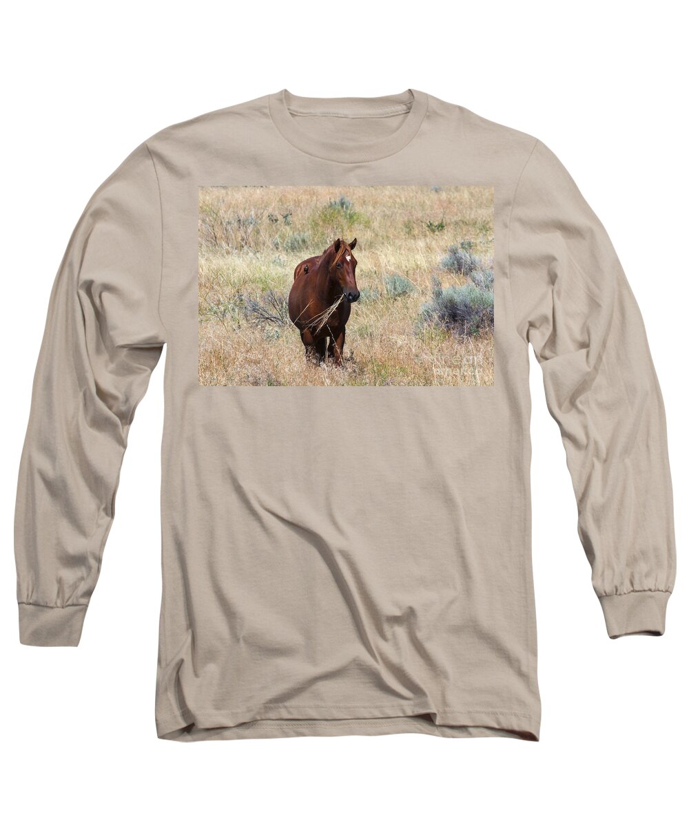 Mustang Long Sleeve T-Shirt featuring the photograph The Odd Couple by Michael Dawson