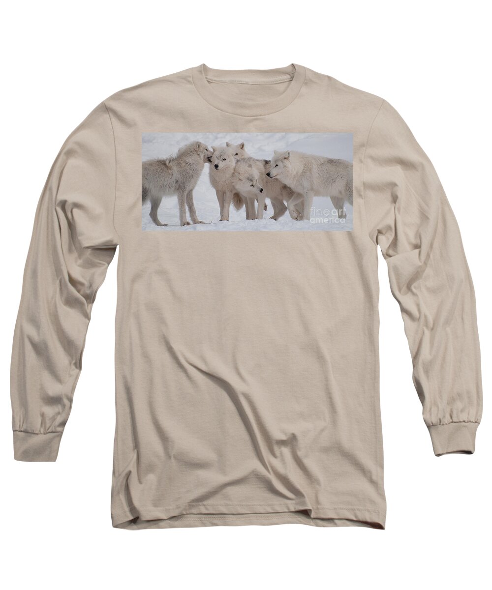 Arctic Wolves Long Sleeve T-Shirt featuring the photograph The Pack by Bianca Nadeau