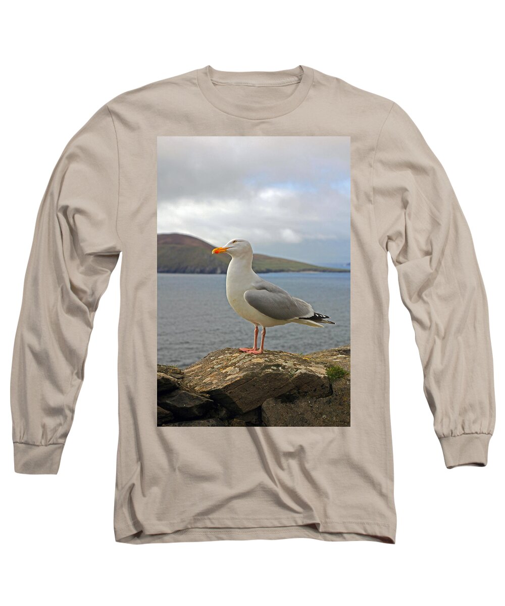 Things Are Looking Up Long Sleeve T-Shirt featuring the photograph Things are Looking Up by Jennifer Robin