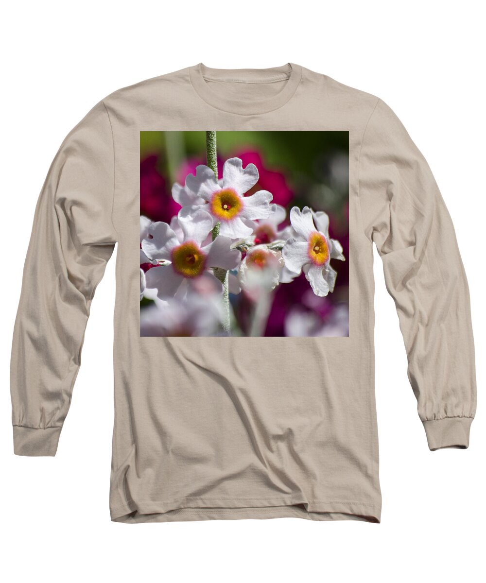 Flowers Long Sleeve T-Shirt featuring the photograph Three Yellow Faces by Spikey Mouse Photography