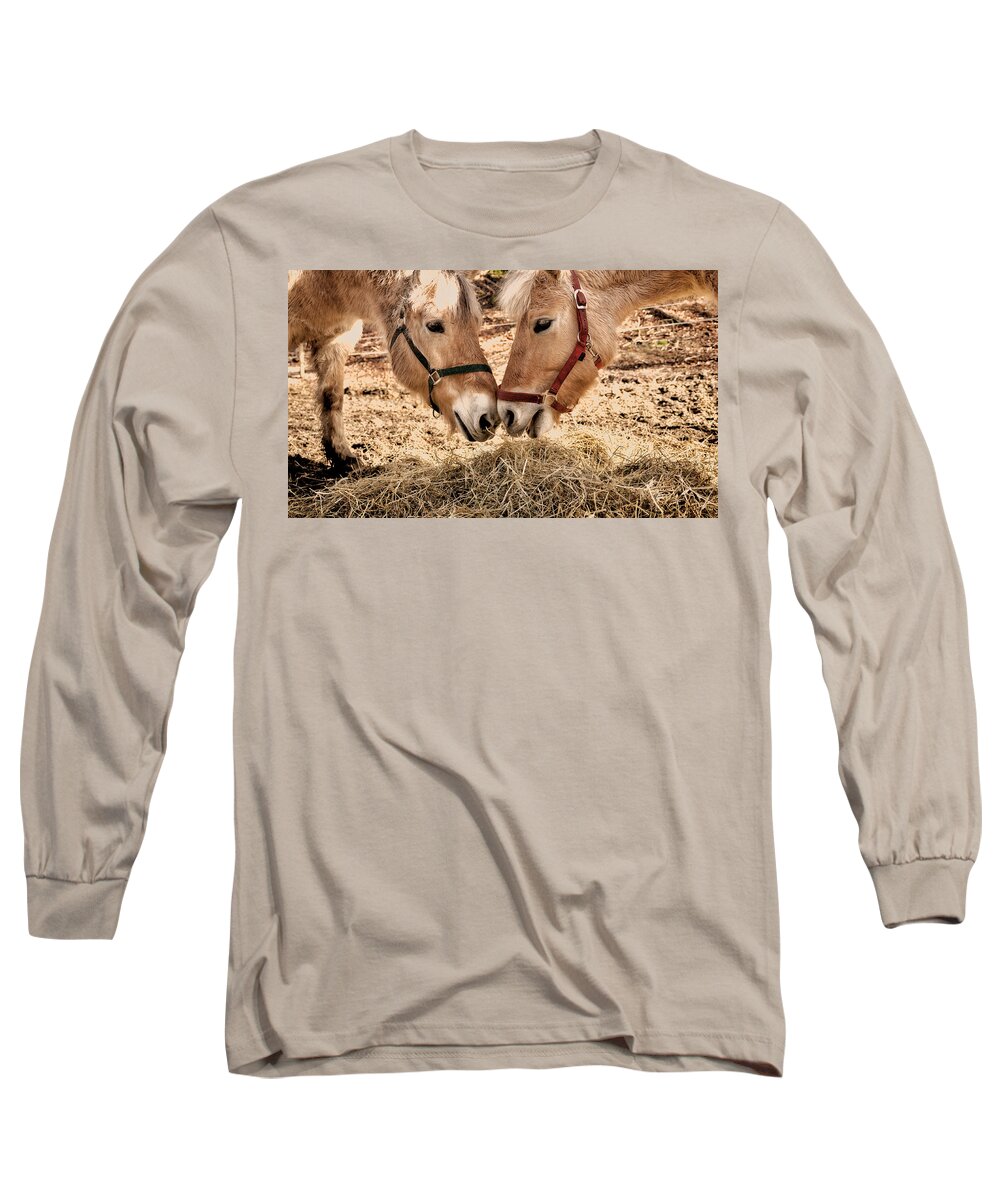 Horses Long Sleeve T-Shirt featuring the photograph Two horses by Mike Santis