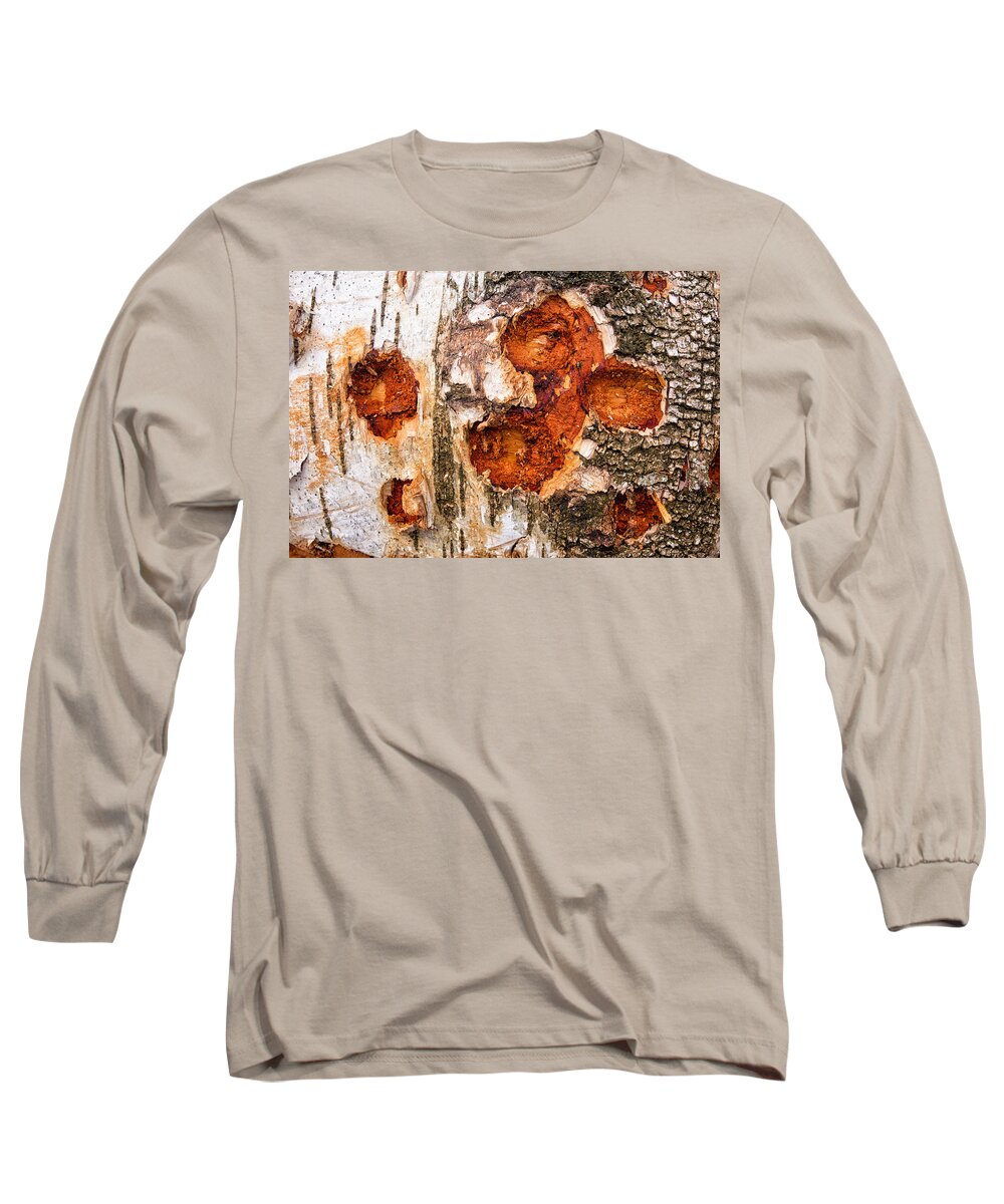 Wood Long Sleeve T-Shirt featuring the photograph Tree trunk closeup - wooden structure by Matthias Hauser