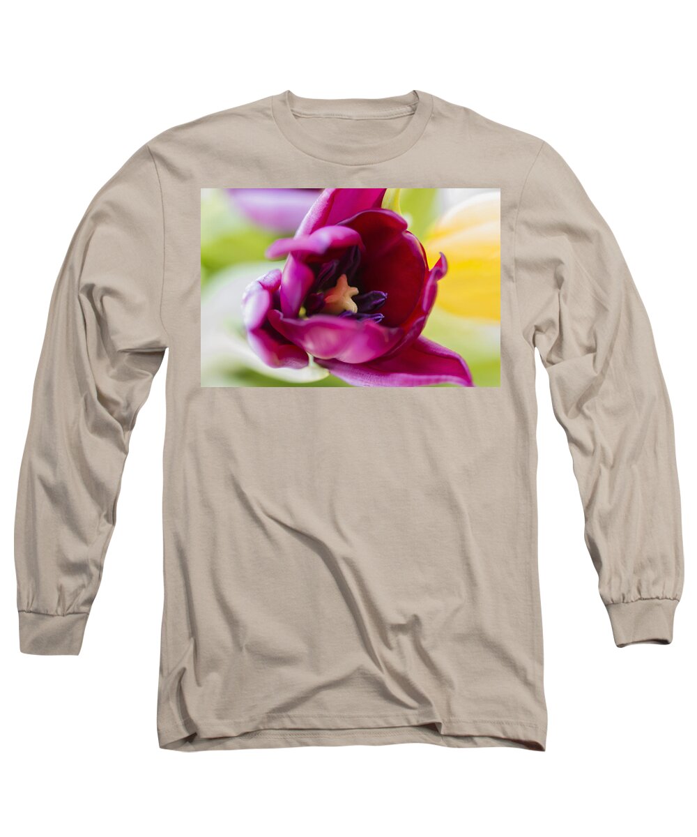 Flora Long Sleeve T-Shirt featuring the photograph Tulip by Paulo Goncalves