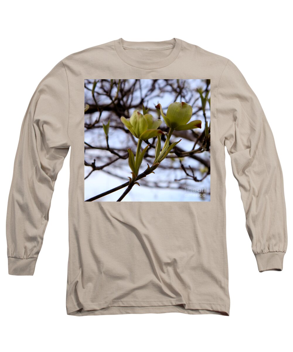 Dogwood Long Sleeve T-Shirt featuring the photograph Two of a kind by Andrea Anderegg