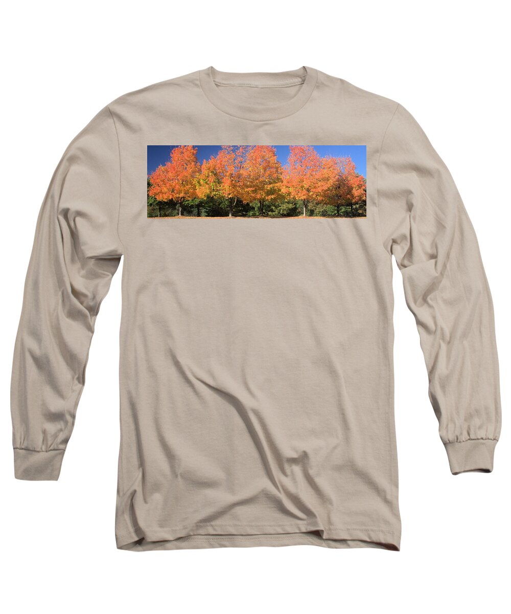 5633 Long Sleeve T-Shirt featuring the photograph Welcome Autumn by Gordon Elwell