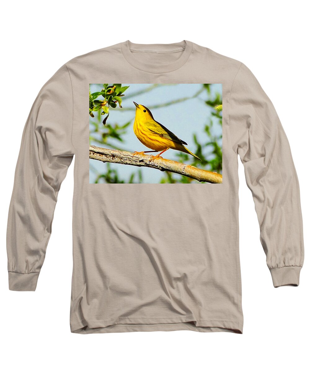 Yellow Long Sleeve T-Shirt featuring the photograph Yellow Bird by Blair Wainman