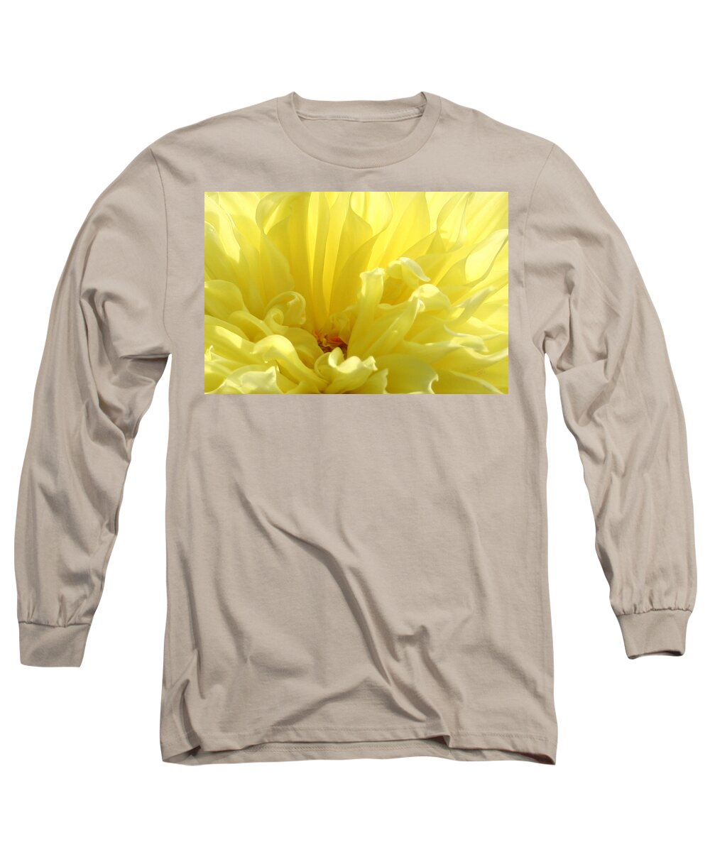 Floral Abstract Long Sleeve T-Shirt featuring the photograph Yellow Dahlia Burst by Ben and Raisa Gertsberg