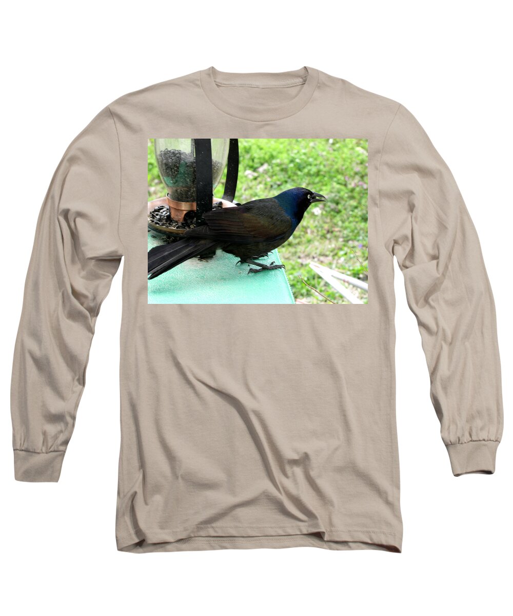 Nature Long Sleeve T-Shirt featuring the photograph Brewers Black Bird #1 by Debbie Portwood