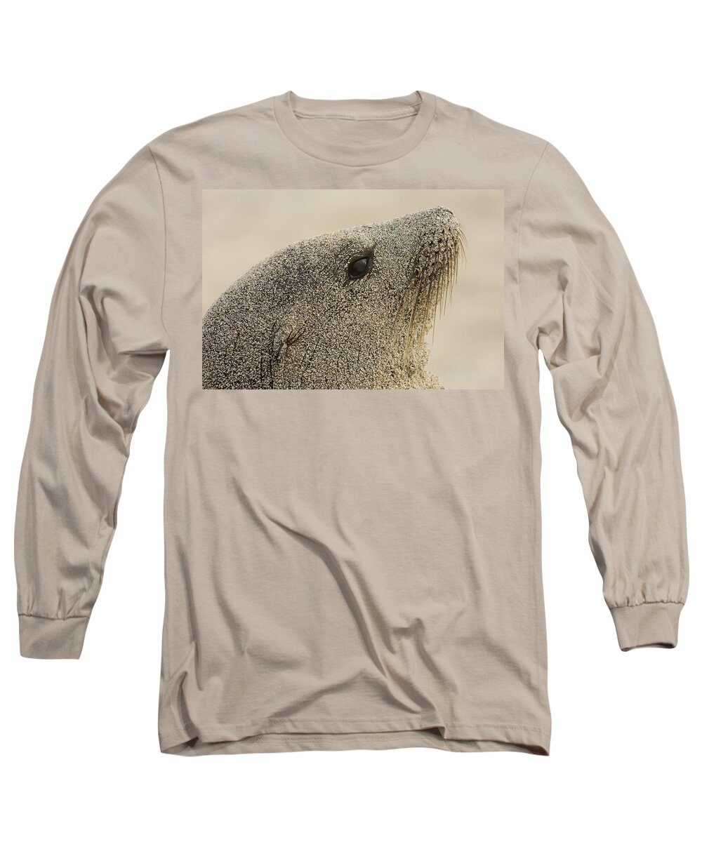 Mp Long Sleeve T-Shirt featuring the photograph Galapagos Sea Lion Zalophus Wollebaeki #1 by Pete Oxford