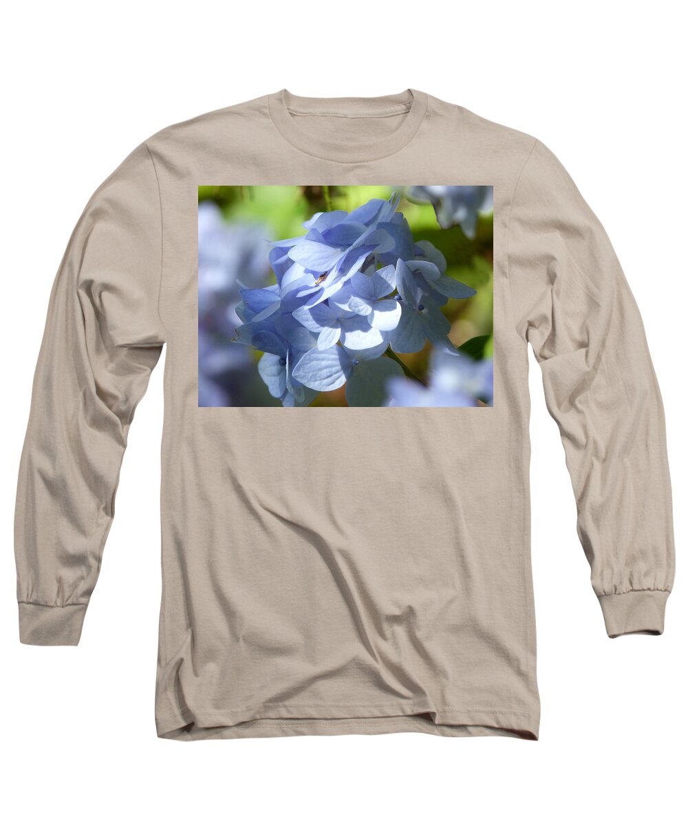 Pale Blue Hydrangea Long Sleeve T-Shirt featuring the photograph Hydrangea #1 by Lynn Bolt