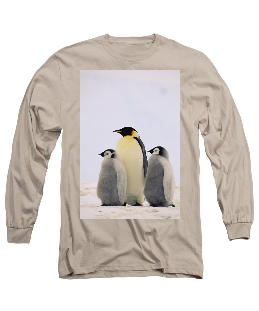 Mp Long Sleeve T-Shirt featuring the photograph Emperor Penguin Aptenodytes Forsteri #5 by Konrad Wothe
