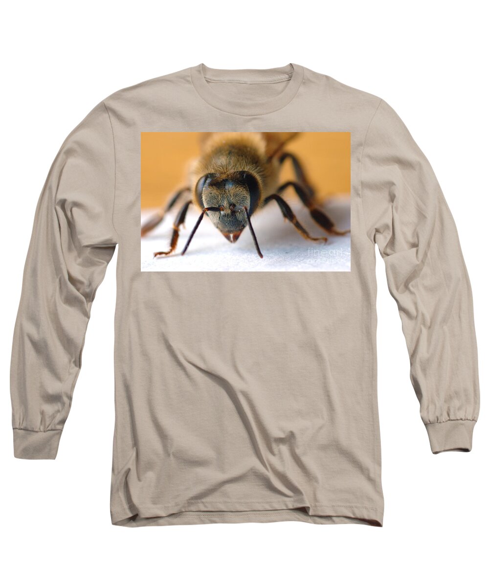 Bee Long Sleeve T-Shirt featuring the photograph Bee in Macro 4 by Micah May