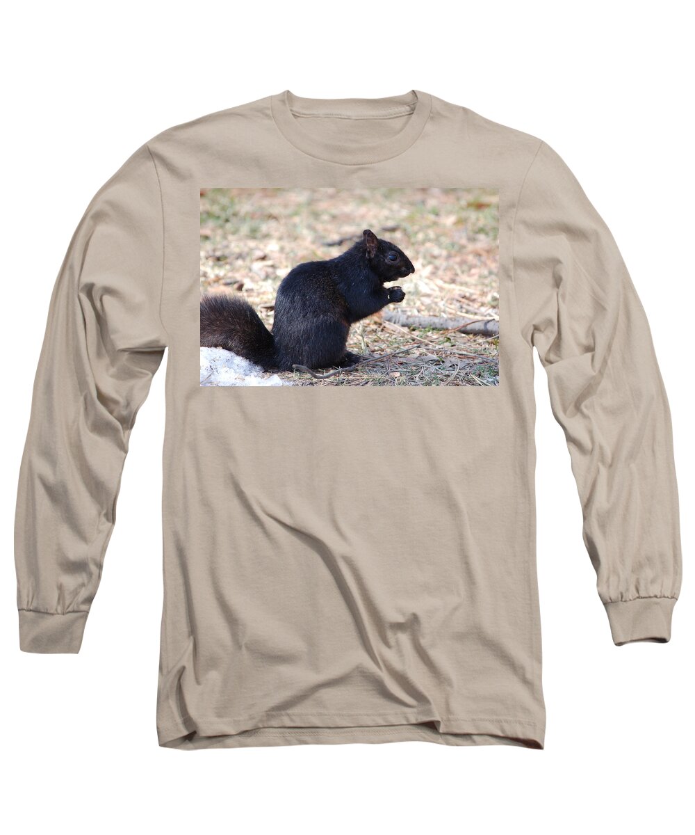 Squirrel Long Sleeve T-Shirt featuring the photograph Black Squirrel of Central Park by Sarah McKoy