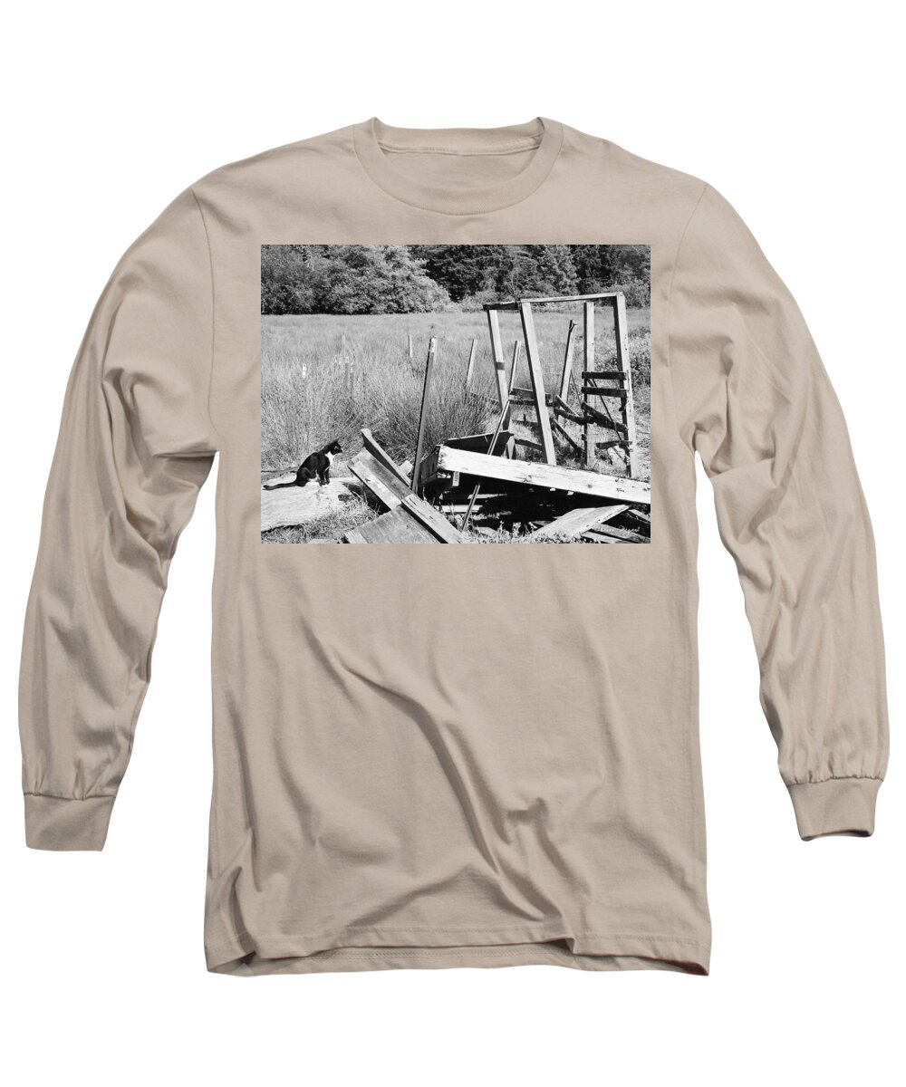 Film Long Sleeve T-Shirt featuring the photograph Cat Examines Destroyed Building by Chriss Pagani