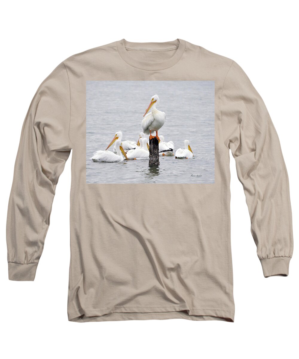 White Pelicans Long Sleeve T-Shirt featuring the photograph Cute feet by Maria Nesbit