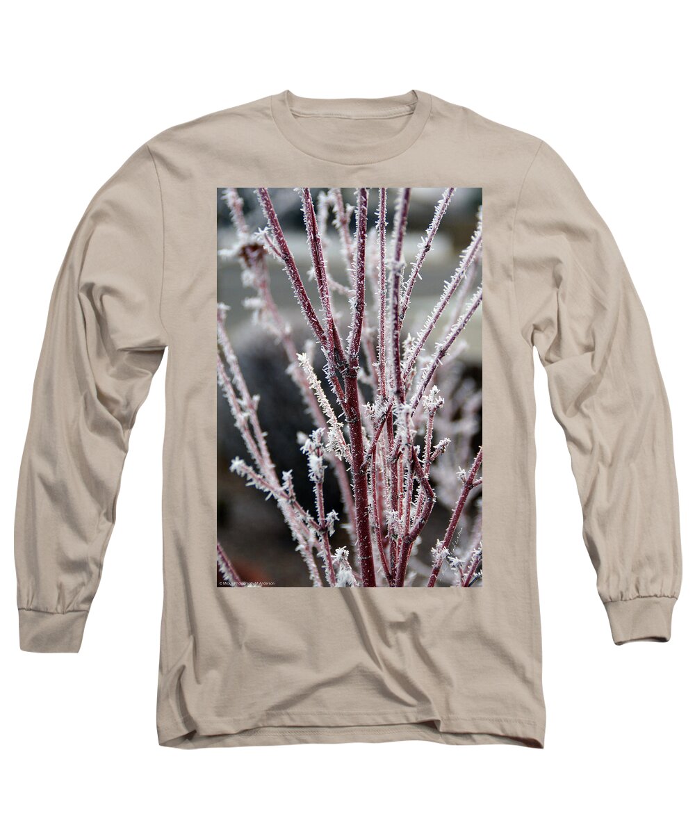 Coral Long Sleeve T-Shirt featuring the photograph Frosty Coral Maple by Mick Anderson