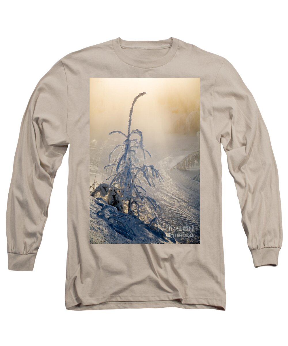 Beauty Long Sleeve T-Shirt featuring the photograph Frosty tree by Kati Finell