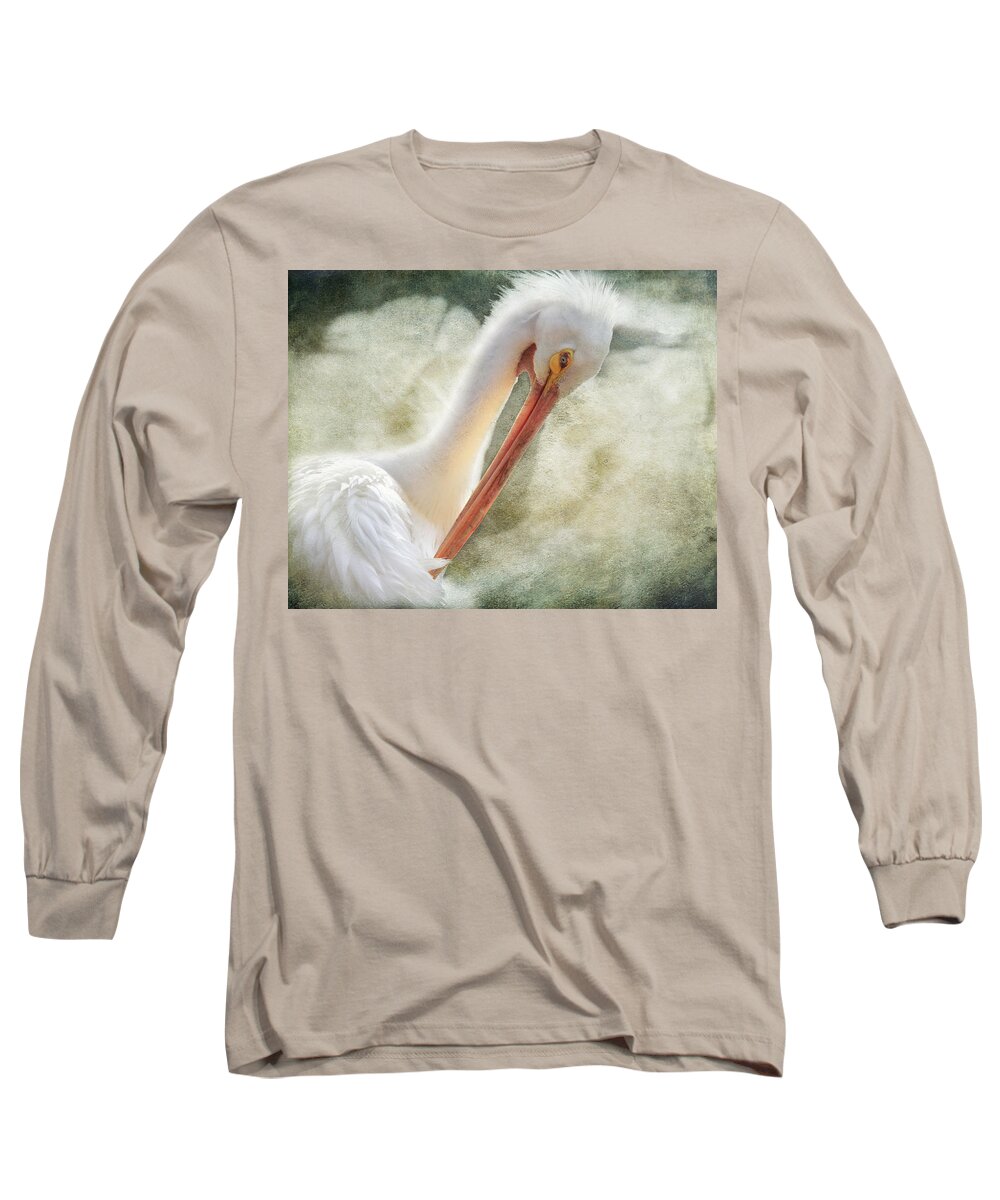 Pelicans Long Sleeve T-Shirt featuring the photograph Good Grooming by Laurie Search